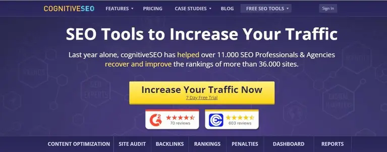 CognitiveSEO