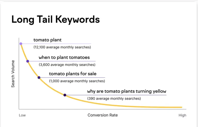 Discover-Long-Tail-Keywords